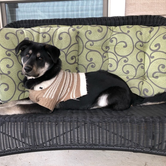 Meet your Posher, Fatima - Picture 3 of 4